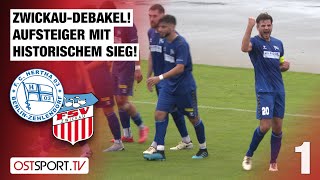 ZwickauDebakel Aufsteiger Hertha mit historischem Sieg Zehlendorf  FSV  Regionalliga Nordost [upl. by Lakim971]