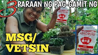 PAANO GAMITIN ANG MSGVETSIN SA ATING ORCHIDSHALAMAN WELL WAIT UNTIL NEXT WEEK [upl. by Theone508]