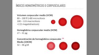 Biometría hemática Serie roja [upl. by Oiluj]