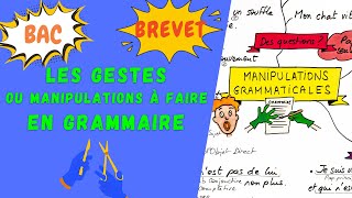 MANIPULATIONS ou GESTES À CONNAITRE EN GRAMMAIRE pour le brevet loral du bac de français 2024 [upl. by Htebasil]