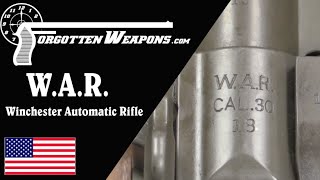 WAR  the Winchester Automatic Rifle [upl. by Adaval790]