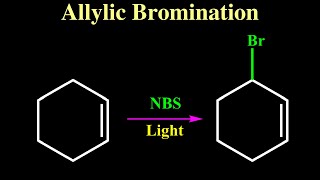 Allylic Bromination Reaction [upl. by Brenner]