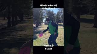 Disc Golf at Mile Marker 63 Hole 1 discgolf dog [upl. by Trahurn]