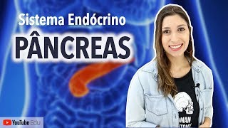 Pâncreas Sistema Endócrino  Anatomia etc [upl. by Salesin554]