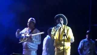 garance reggae festival 2014 jah shaka on stage part 2 [upl. by Zullo]