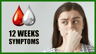 12 Weeks Pregnant Symptoms – Baby Size in Womb and Baby Movement [upl. by Shepperd]