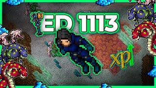 ED 1113 Hunt Solo Salt Caves Bashmu 4kkh Raw 26kk Profit  Tibia Hunt 1317 tibia tibiahunt [upl. by Ainat282]