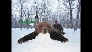 Jagd auf Auerhahn und Bär in Kamtschatka mit Westfalia Jagdreisen  Teil 2 [upl. by Ulrikaumeko]