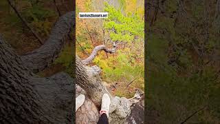 Hiking Whitaker Point in Arkansas [upl. by Iey]