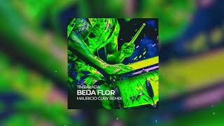 Timbalada  Beija Flor Mauricio Cury Remix [upl. by Eeraj]