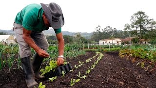 Importancia de la Agricultura Orgánica  TvAgro por Juan Gonzalo Angel [upl. by Imyaj]