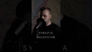 Synestia  Maleficium cover deathcore synestia cover metal universalaudio neuraldsp shure [upl. by Carri628]