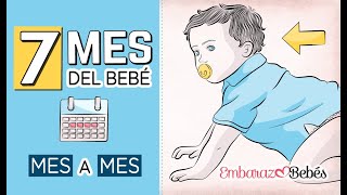 Estimulación temprana en bebés de 7 a 9 meses [upl. by Lila]