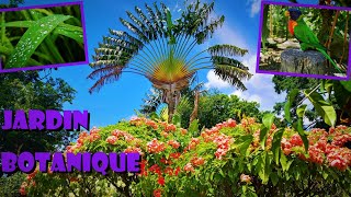 Guadeloupe  Jardin Botanique de Deshaies [upl. by Lraed]