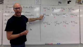 BronstedLowry Acids and Bases [upl. by Neveda]