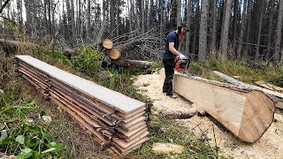 Cutting LONG amp THIN Boards Using a ChainsawWITHOUT a Mill [upl. by Jollenta]