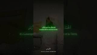 Magnifique récitation de Haitham Al Dukhan🎙️Surah  AlAnam🍯 Les Bestiaux [upl. by Idnyc]