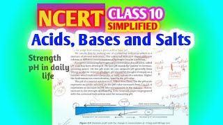 Class 10🎯Acids Bases and SaltsNCERT LINE BY LINE Detailed explanation [upl. by Ykvir]