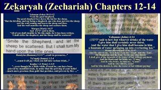 Zekaryah Zechariah Ch 1214 quotIN THAT DAYquot [upl. by Anazraf263]