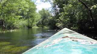 Cedar Creek Kayak Trip New Jersey [upl. by Cathy267]