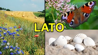 Lato – przyroda wakacje co robić nad morzem i w górach – Film edukacyjny dla dzieci – lekcja [upl. by Kahcztiy796]