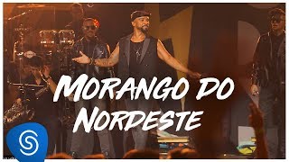 Alexandre Pires  Morango do Nordeste O Baile do Nêgo Véio  Ao Vivo Em Jurerê Clipe Oficial [upl. by Aleemaj161]