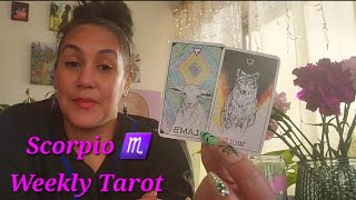 SCORPIO ♏️ WEEKLY TAROT READING WOLF ENERGY [upl. by Hadleigh]