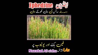 Ephedrine ephedra medicine treatment therapy [upl. by Aem174]