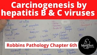 Carcinogenesis by Hepatitis B and Hepatitis C VirusesRobbins Pathology chapter 6neoplasia patho [upl. by Atinus]