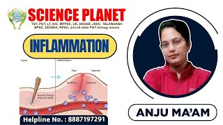 INFLAMATION II BY ANJU MAM II SCIENCE PLANET II [upl. by Macdonald]