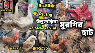 Uluberia pet market  উলুবেড়িয়া মুরগির হাট ২০০১২০২৪ Visit  Murgir hat  One Moon [upl. by Sanyu147]