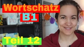 🇩🇪 Wortschatz B1  Teil 12  Alle Wörter die du brauchst [upl. by Tteirrah248]