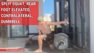 Split Squat Rear Foot Elevated Contralateral Dumbbell [upl. by Willcox]