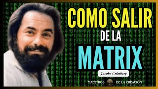 SAL DE LA MATRIX LATICCE LA TEORÍA SINTERGICA DE JACOBO GRINBERG EXPLICADA DE MANERA SENCILLA [upl. by Conlan195]