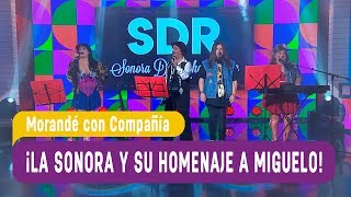 La Sonora de Rehabilitarse  Homenaje a Miguelo  Morandé con Compañía 2018 [upl. by Tserof652]