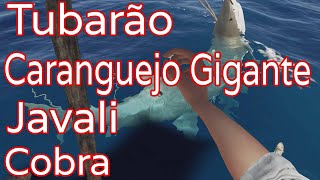 Stranded Deep Como caçar animais [upl. by Thibault]