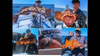 SUMMER NEAH BAY Fishing For Lingcod Rockfish And Halibut [upl. by Amoritta]