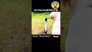 सांप ने काटा एक छोटे पिल्ले को 😨 Hearty Paws 2 movie explained in hindi shorts viral hopclimax [upl. by Balfour]