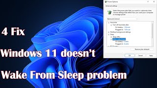 Windows 11 Doesn’t Wake From Sleep Problem – 4 Quick Fixes [upl. by Htebaras555]