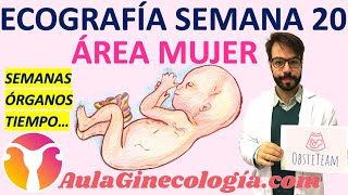 ECOGRAFÍA SEMANA 20 ⏰ MORFOLÓGICA ÓRGANOS 🧠 MALFORMACIONES    Ginecología y Obstetricia [upl. by Mayrim]