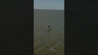 Markermeer  lake downwinding in the Netherlands downwind foil voyager [upl. by Bram]