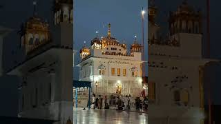 tarn taran darbar sahib youtubeshorts viralvideo darbarsahib [upl. by Erdman]