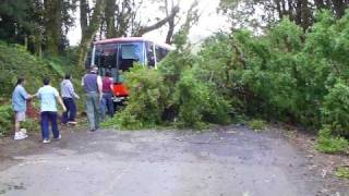 earthquake in Costa Rica fallen tree on the road [upl. by Swayne]