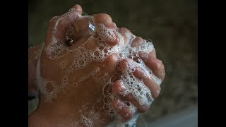 Step by Step Guide on Hand Washing Technique is the best way to prevent food poisoning [upl. by Oynotna95]