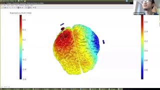 ROAST TES modeling made easy  Session 4  NYC Neuromodulation 2020 Online Conference [upl. by Akerboom]