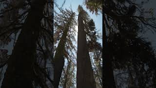 Hiking Lassen Volcanic National Park [upl. by Northey]