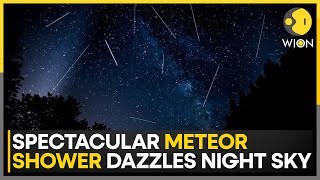 Stunning Perseid Meteor shower dazzles in night sky over Bosnia  World News  WION [upl. by Crespo]