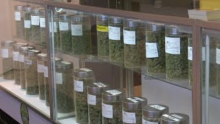 Recreational marijuana launch doesnt apply to all Montana counties [upl. by Nagey32]