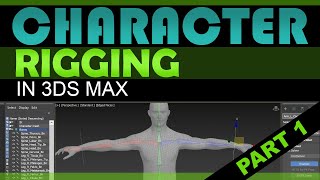 Character Rigging in 3DS Max Tutorial 1 [upl. by Kinsley]