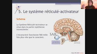 Les potentiels cachés du cerveau  5  Le système réticuléactivateur [upl. by Oderfigis]